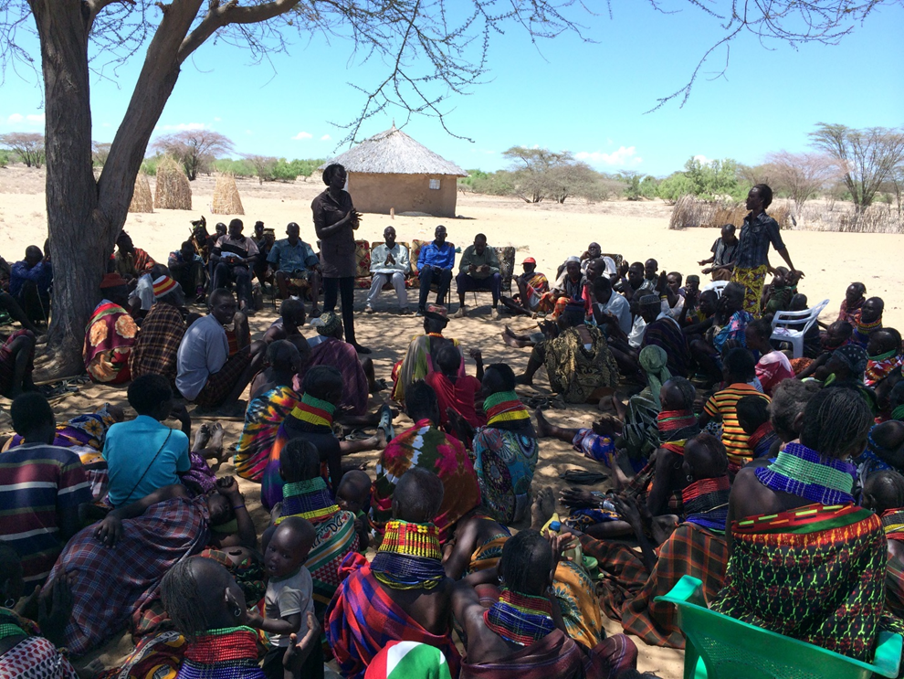 Exploration and Appraisal